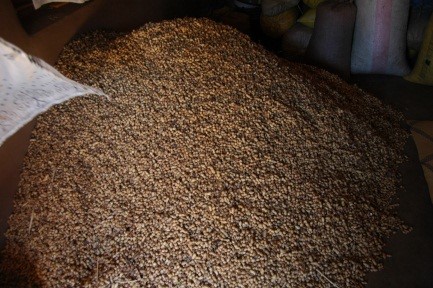 Production d’arachide